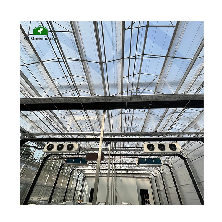 GT High Quality 30ft X 100ft Fully Automated 100% Blackout Greenhouse Light Deprivation Greenhouse
