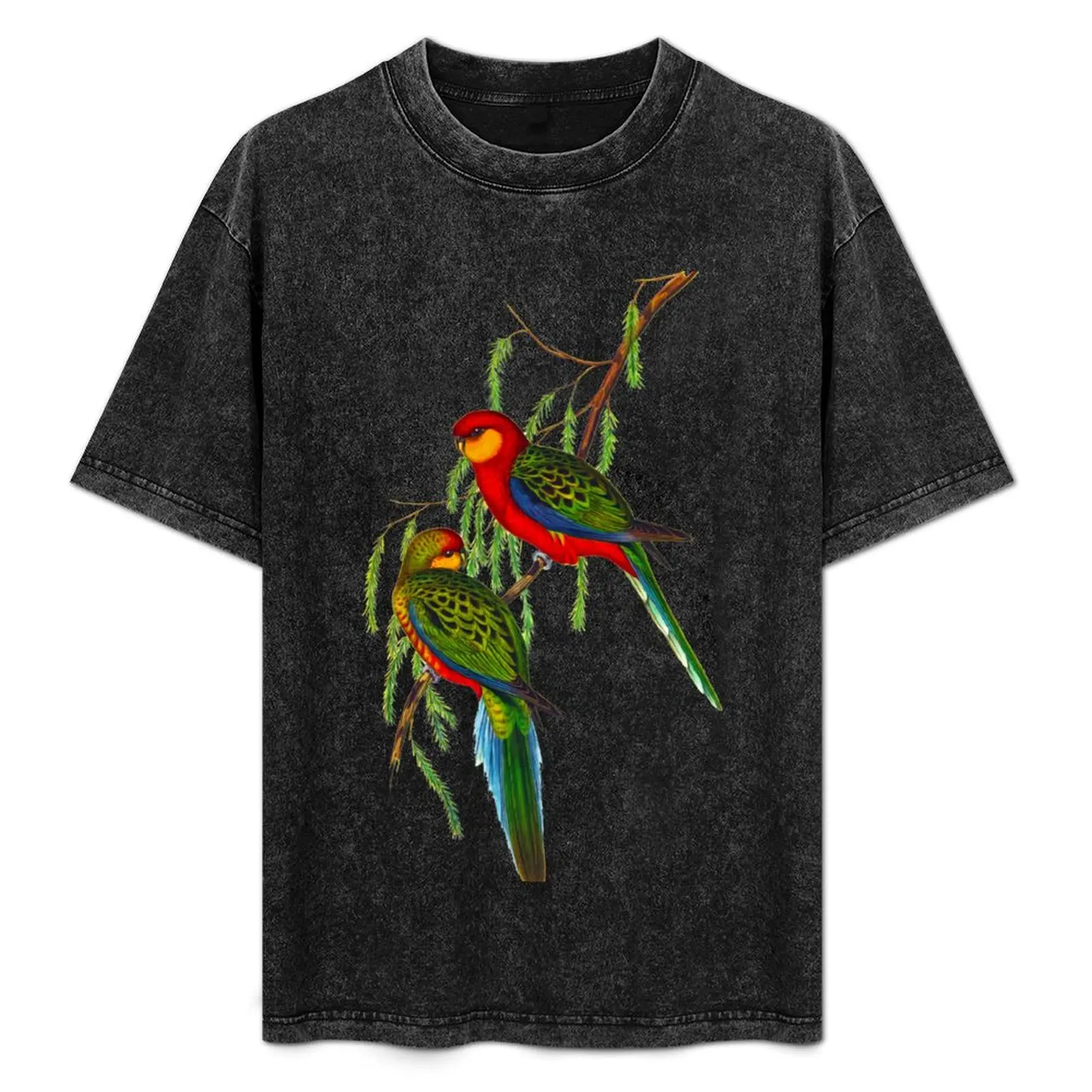 

Western Rosella T-Shirt Moisture Wicking Athletic T-Shirt