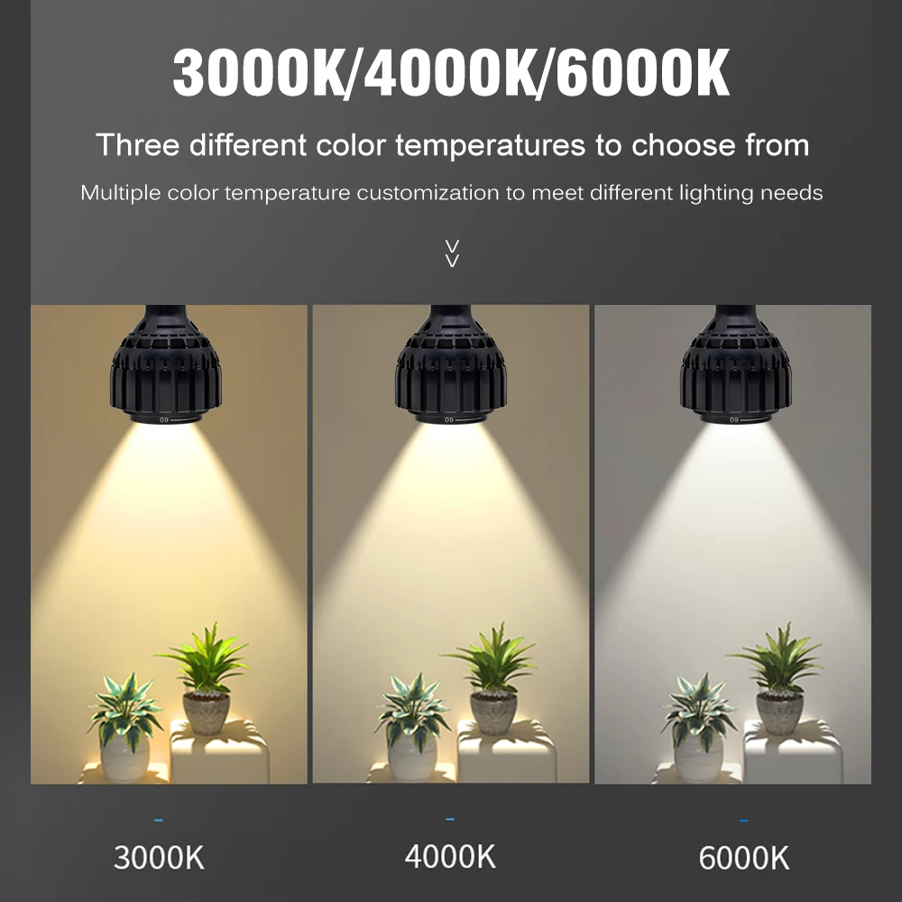 12w/24w LED Spotlight 3000k 4000k 6000k Restaurant Mural Indoor Aisle Spotlight Adjustable Light Speed Angle 15-60 Degrees