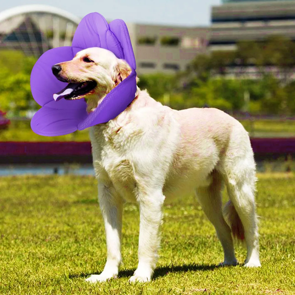 

Flower Design Pet Protective Collar Lightweight Recovery Neck Circle For Cat Surgery Wound Care Elizabethan