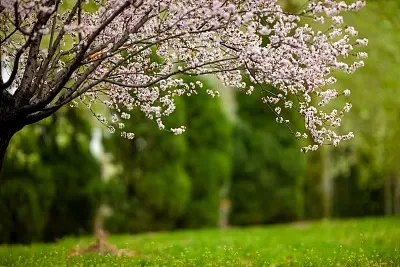 

FOR MJX Hyper Go 10303 10304 Metal Steering Cup Hub Carrier Steering Assembly Swing Arm Set 1/10 RC Car Upgrade Parts Accessorie