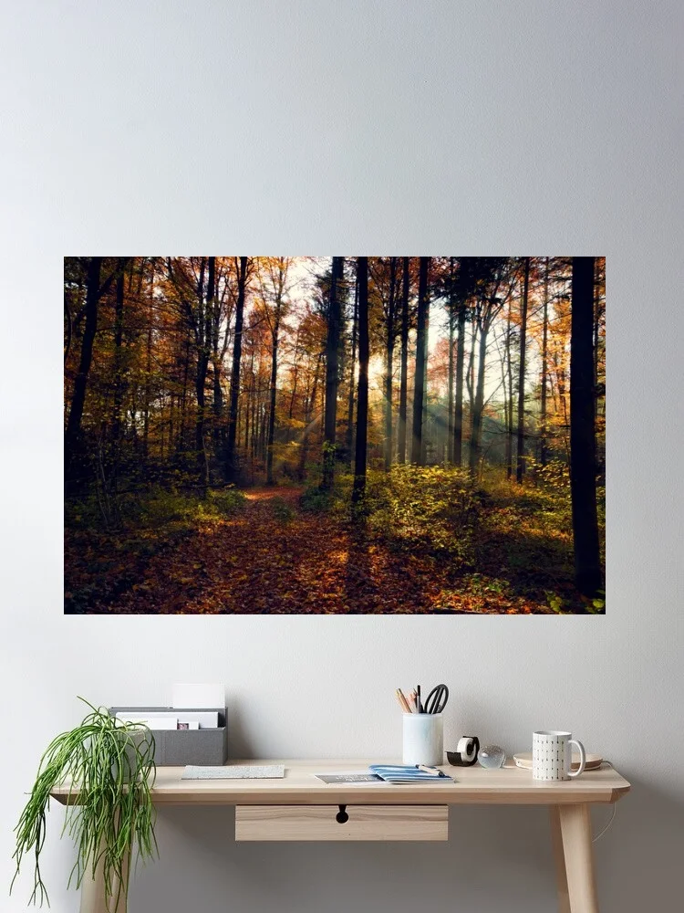 Autumn forest with sun rays filtering through trees, Art Print Canvas Poster, Living Room Decor, Home Wall Picture