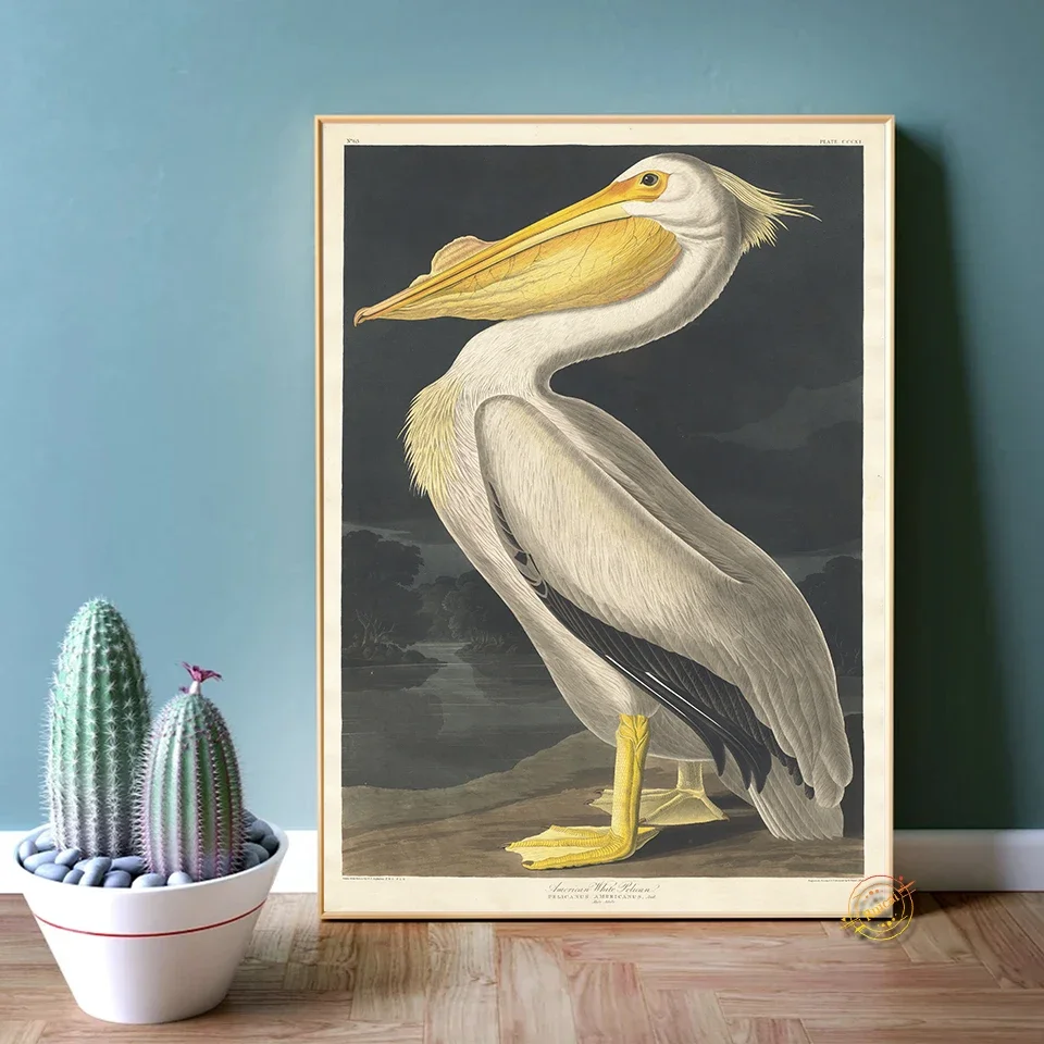 John James Audubon Flamingo Poster Modern Bird Picture Print For Living Room Bar Hotel Wall Art Home Decor Cuadros