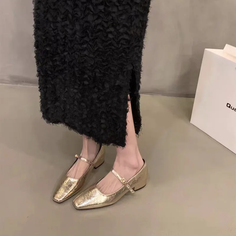 Women's Ballet Flats Pointed Toe Mary Janes Shoes Silver Low Heels Dress Shoes Woman Flats Black Gold Zapatos Mujer Spring