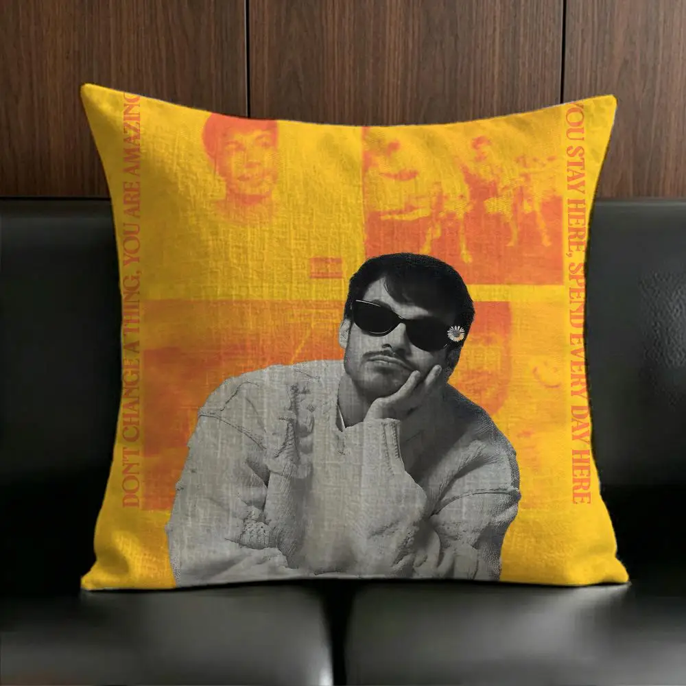 Pop Singer R-Rex Orangee County Cushion Cover Anti-dustmite Pillowcase Invisible zipper silky short plush Sofa cushion cover