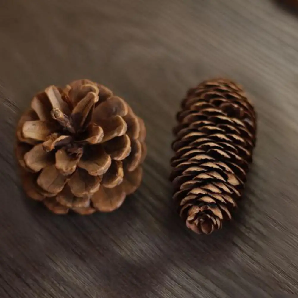 Pinecones Set Rustic Solid DIY Natural Wood Slices Decor for Home Chip Wedding Hanging Decor