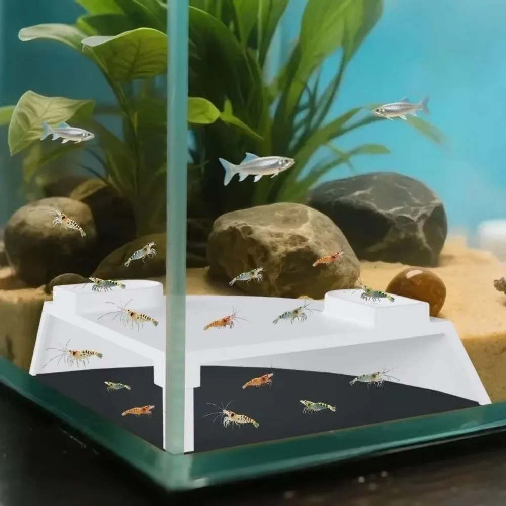 هيكل النفق، زاوية حوض السمك، تصميم زاوية الكهف، مخبأ بلاستيكي، مأوى كهف تحت الأرض