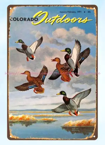 1971 Colorado wildlife fishing hunting  Mallards Rising metal tin sign