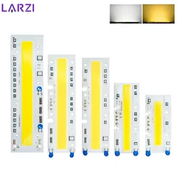 Led Lamp Chip AC 110V 220V COB Beads 30W 50W 70W 100W 150W Lampada Input DIY No Driver LED Bulb Flood Light Spotlight