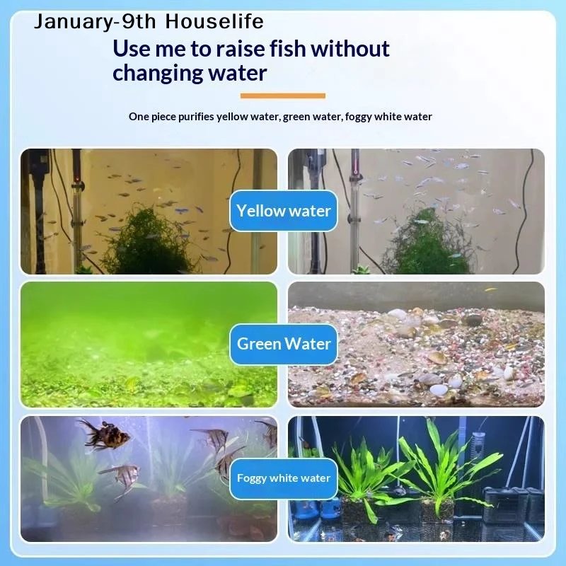 1/2/3 ボトル水族館藻類クリーナー錠剤グリーンブルーブラ - Aquarium Fish Green のレビューと価格
