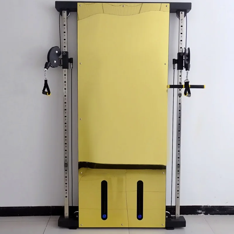 

Wall Bird Trainer Wall-mounted Double Squat Trainer Retractable Bird Frame Home and Commercial Comprehensive Fitness Equipment