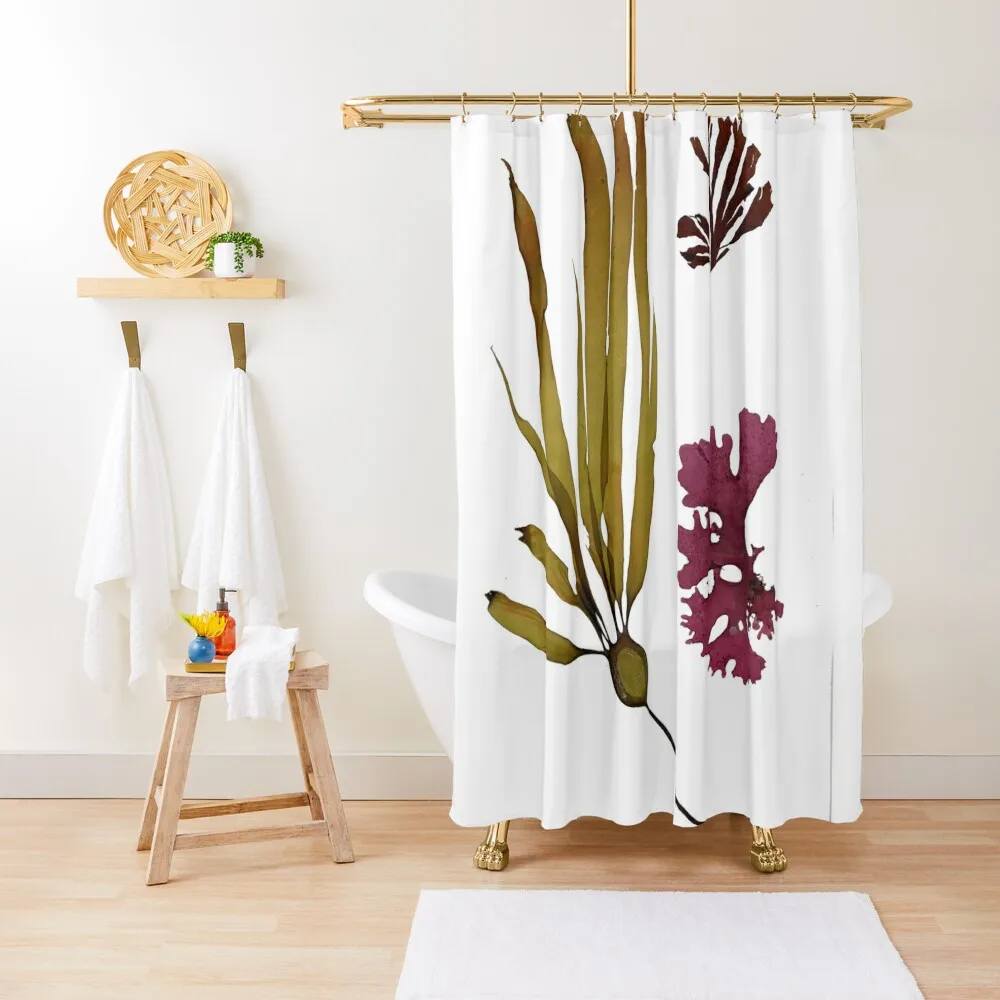 

Seaweed collage Shower Curtain Cute Shower Waterproof Shower Bathroom Accessories For And Services Curtain