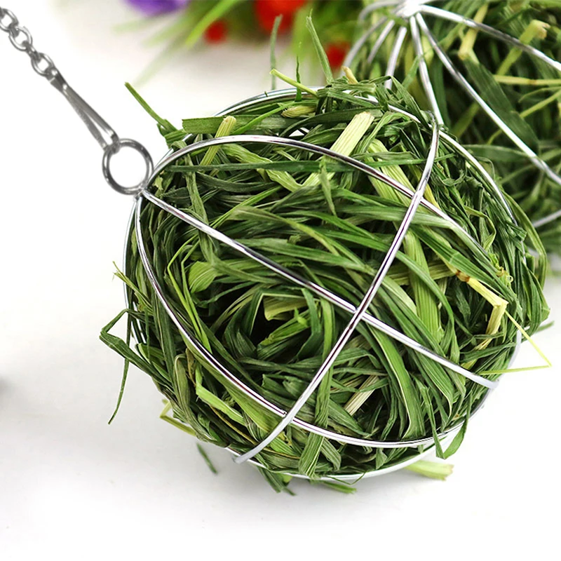 Stainless Steel Round Sphere Feed Dispense Exercise Hanging Hay Ball Guinea Pig Hamster Rabbit Pet Toy