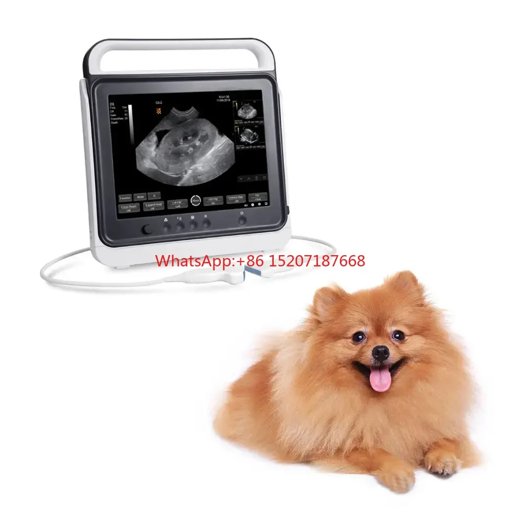 Portable Pet Touch Screen B/W dog canine ultrasound machine for animal hospital