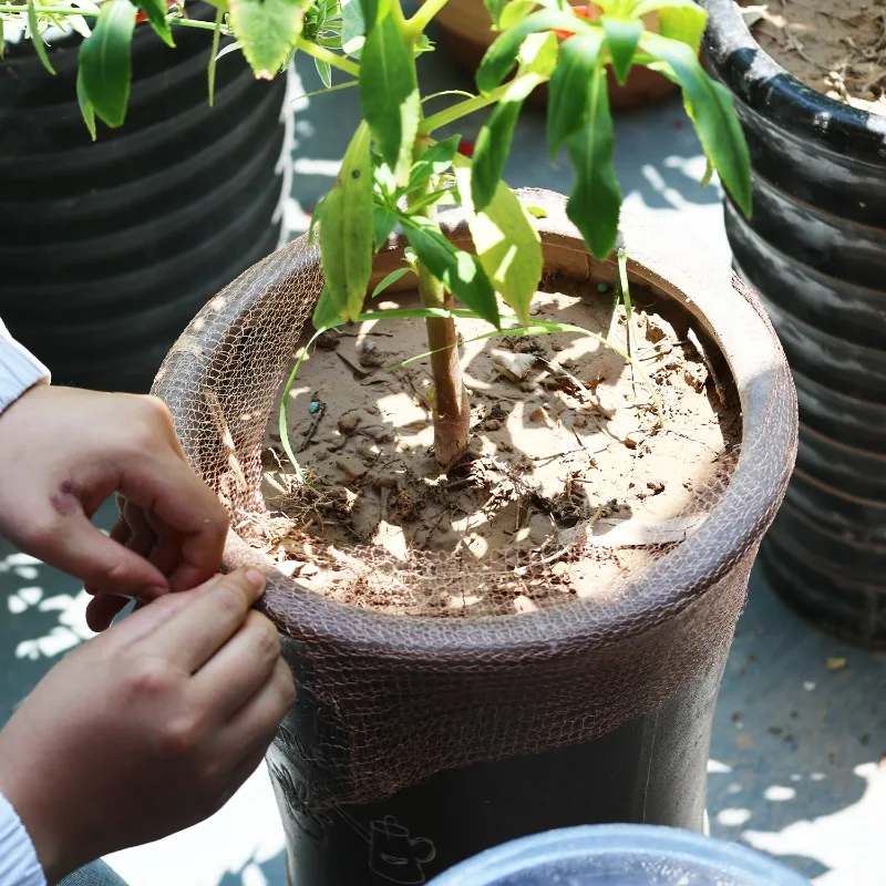 Thumbnail 2 - #48 Pest Control Ranking List in 2026