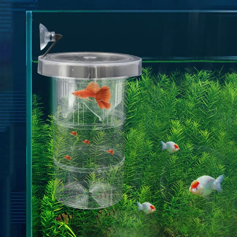 Suction Cup Floating Hatching Box Detachable Plastic Fish Tank Incubator Semi-transparent Guppy Breeding Box