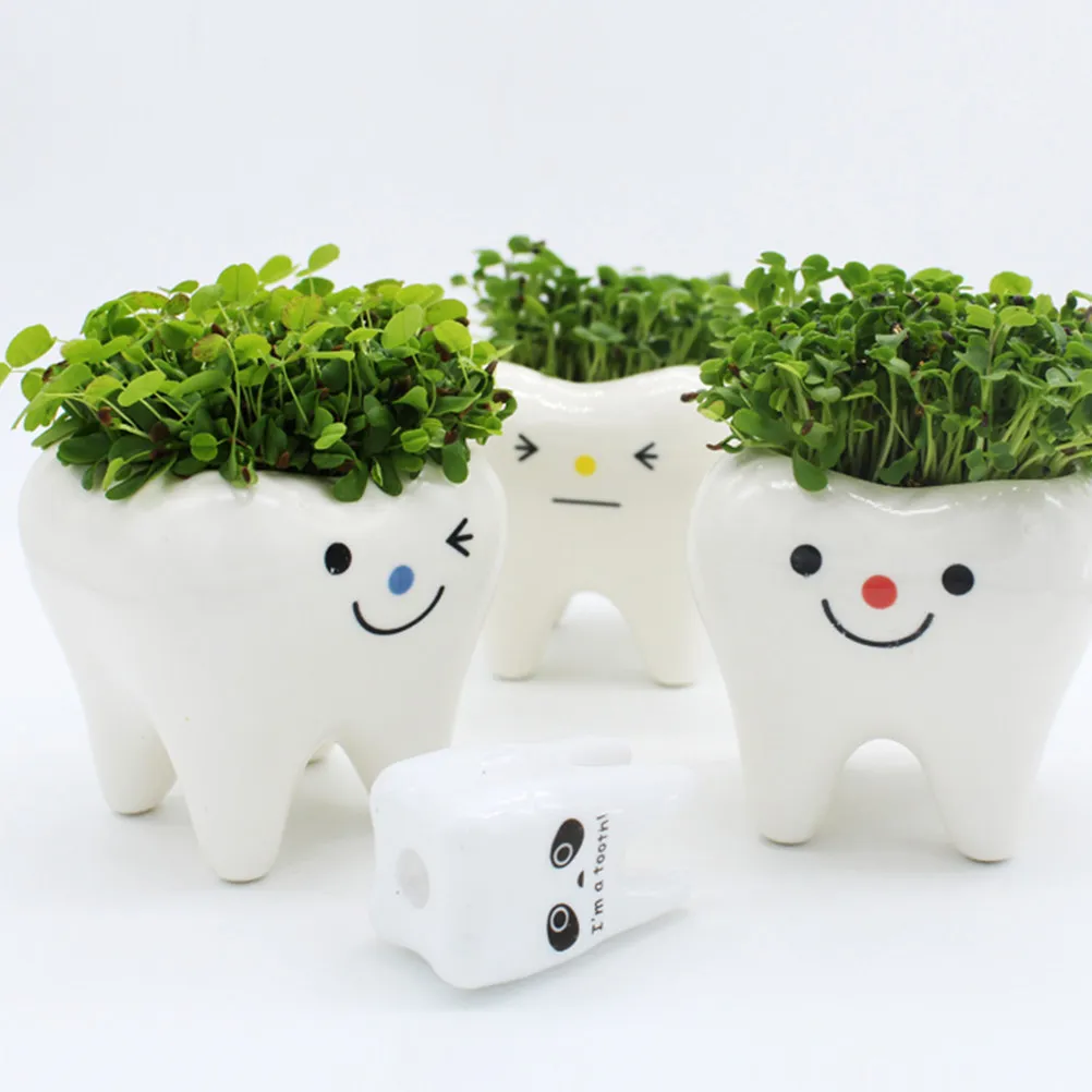 2Pcs Creative Tooth Ceramic Flower Pot Mini Succulent Plant Holder Yellow Home Bedroom Living Room Decoration Ceramic Flower Pot