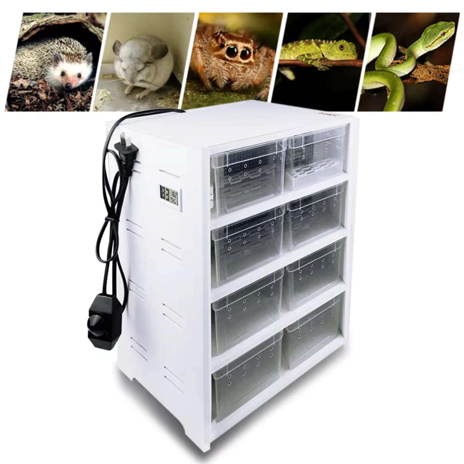 New 8 Grid Reptile Enclosure Cage Gecko  Pet Snake Terrarium Fish Tank Spider Insects Breeding Box+Heating Pad