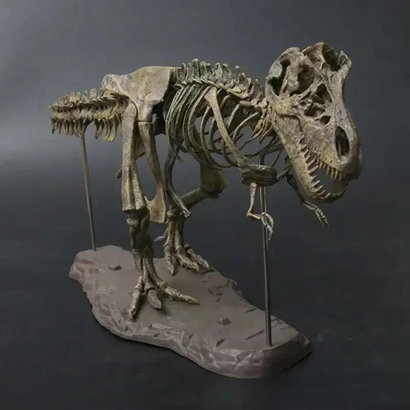 DIY LargeT Rex Dinosaur Skeleton Toys Simulation T-Rex Model  Animal Model Collector Super Decor Children's educational toys