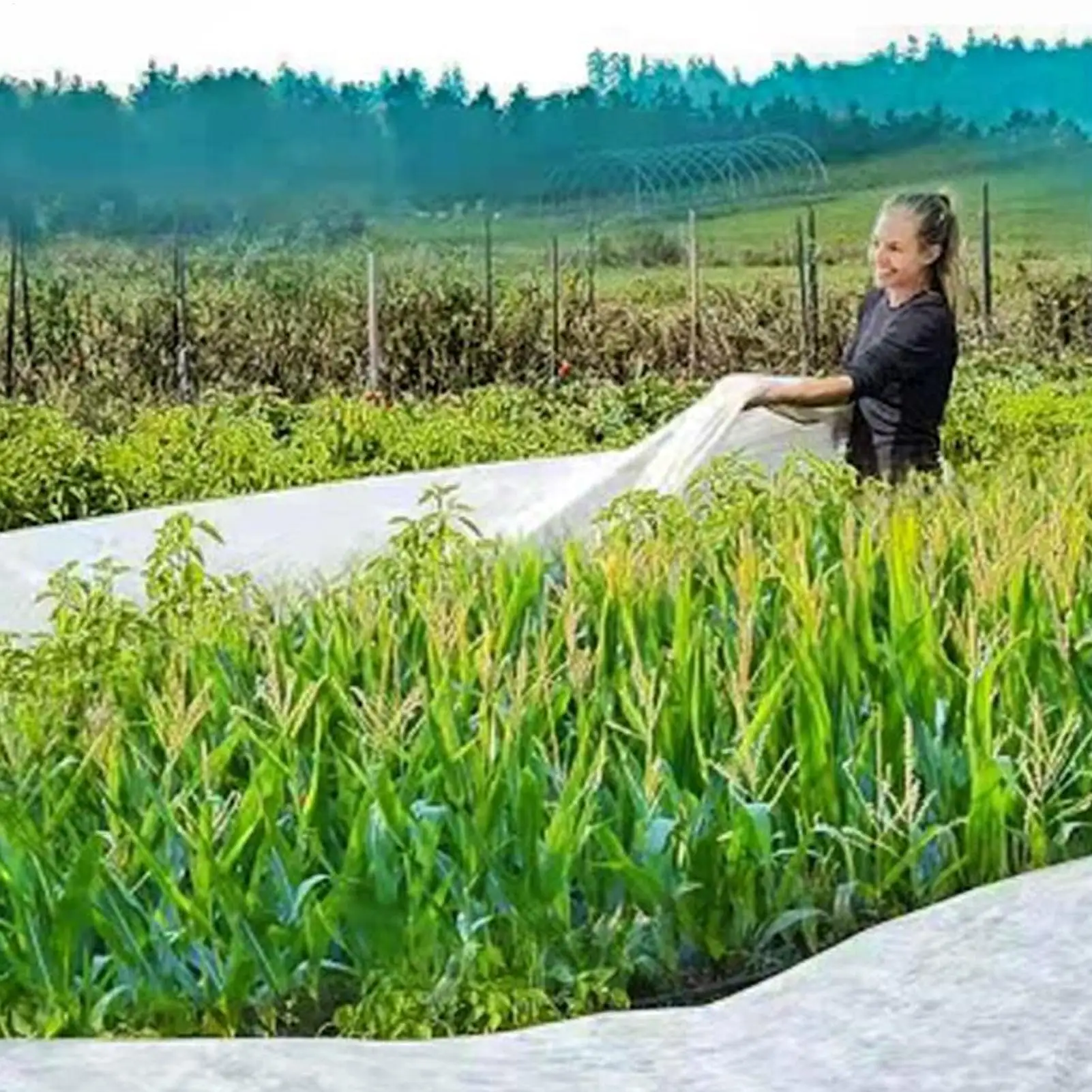 

Frost Blankets For Outdoor Plants 10X30FT Plant Frost Protection Covers Cloth Fabric Sheeting For Shrub Garden Vegetable