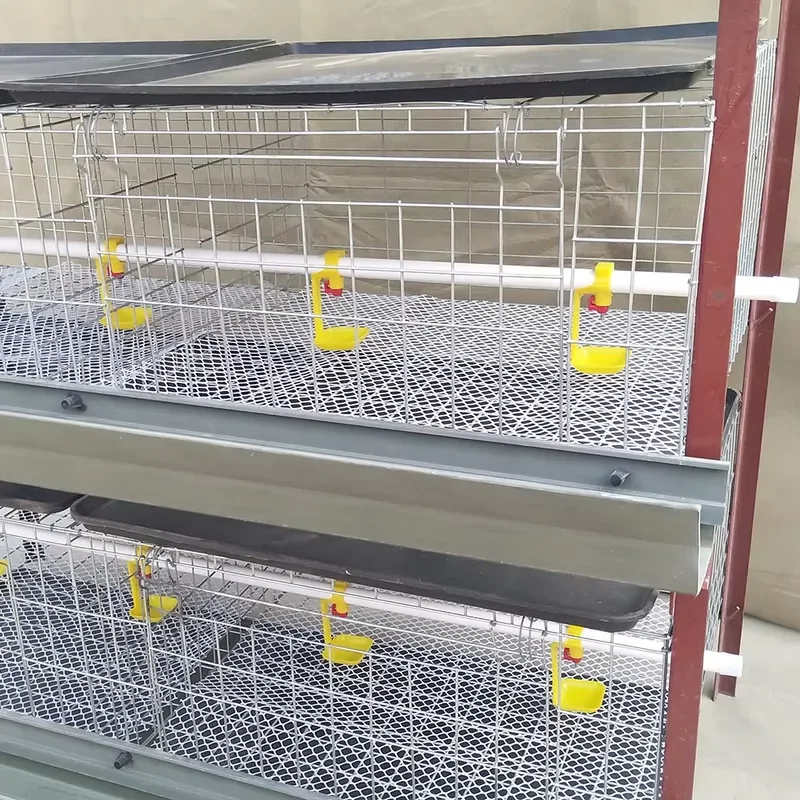 High Cost Performance Little Baby Chick Brooder Cage 90-320 Birds/set with Complete Accessories