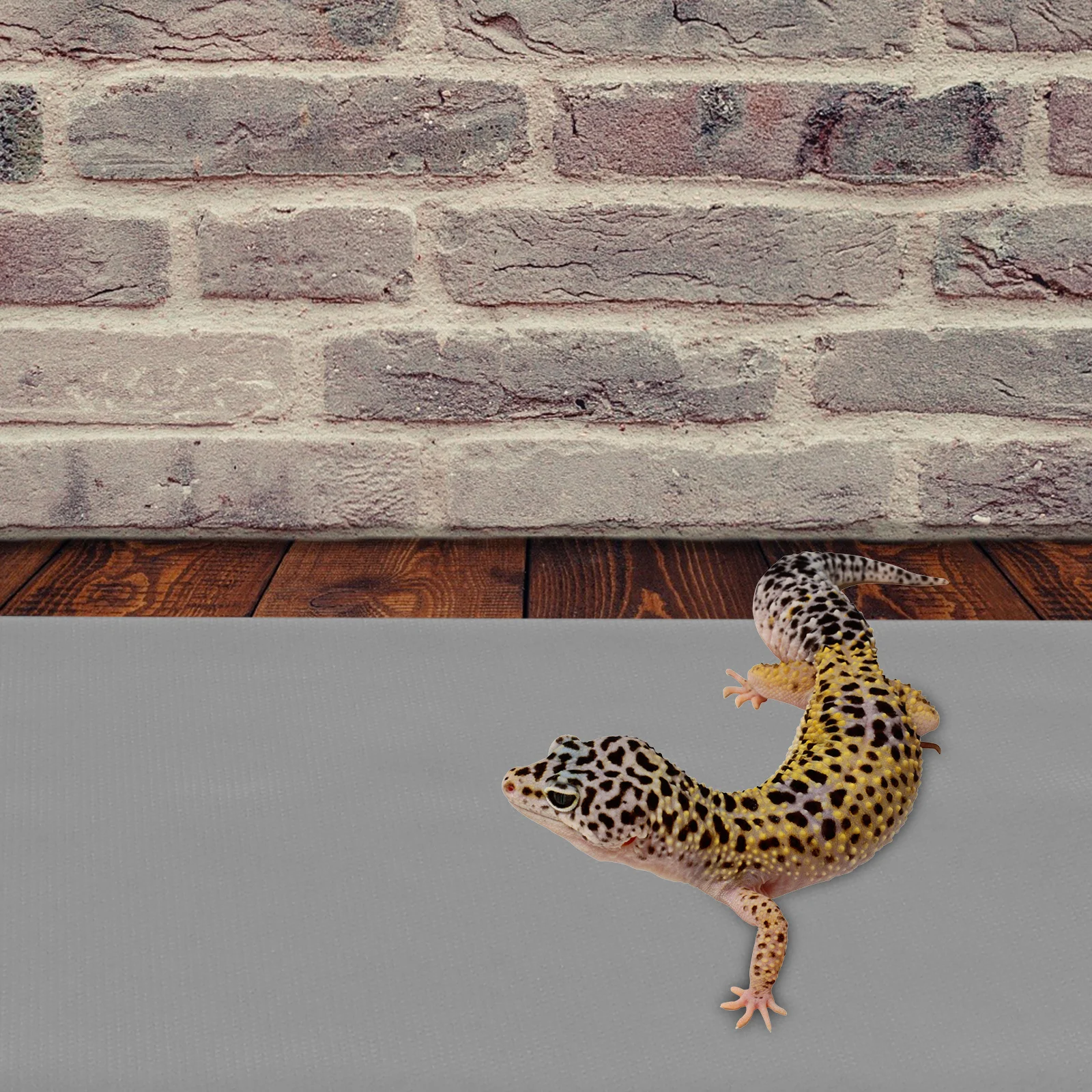 Eva Reptile Bed Mat Absorbent Non Irritating Cuttable Long Lasting Pet Terrarium Liner Reptile Substrate Liner