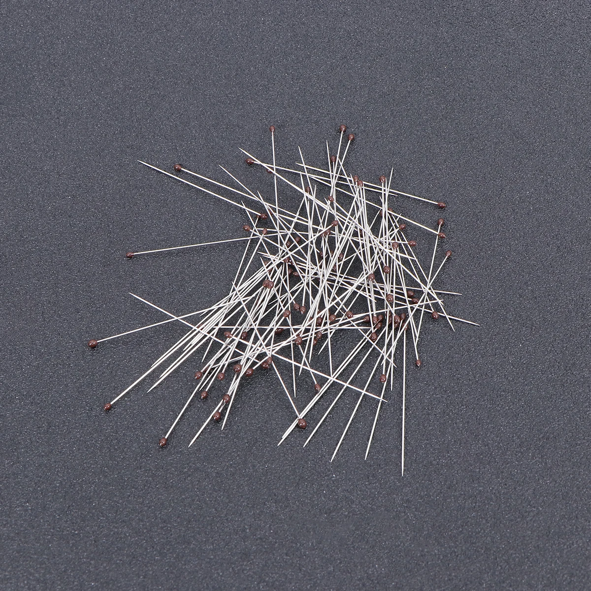 100pcs Insect Pin For Science Education Stainless Steel Entomology Needles for Science Education Tools Parts