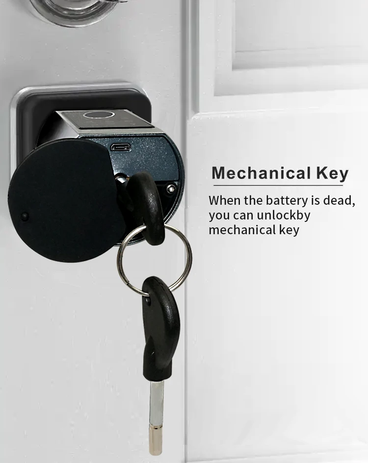 Serrure de Porte à Cylindre Intelligente Ttlock Tuya, Étanche IP65, Empreinte Digitale, Code Pin, Remplacer le Bricolage, Euro Électronique