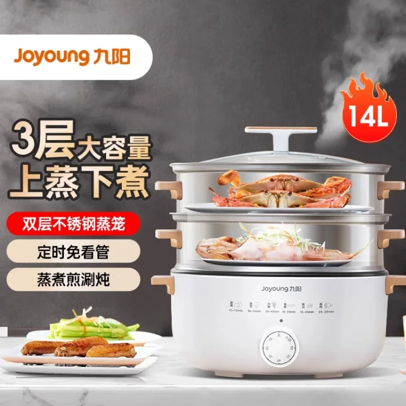 220V Multifunctional Electric Food Steamer with Large Capacity, Stainless Steel Electric Steamer Cooker for Home Use