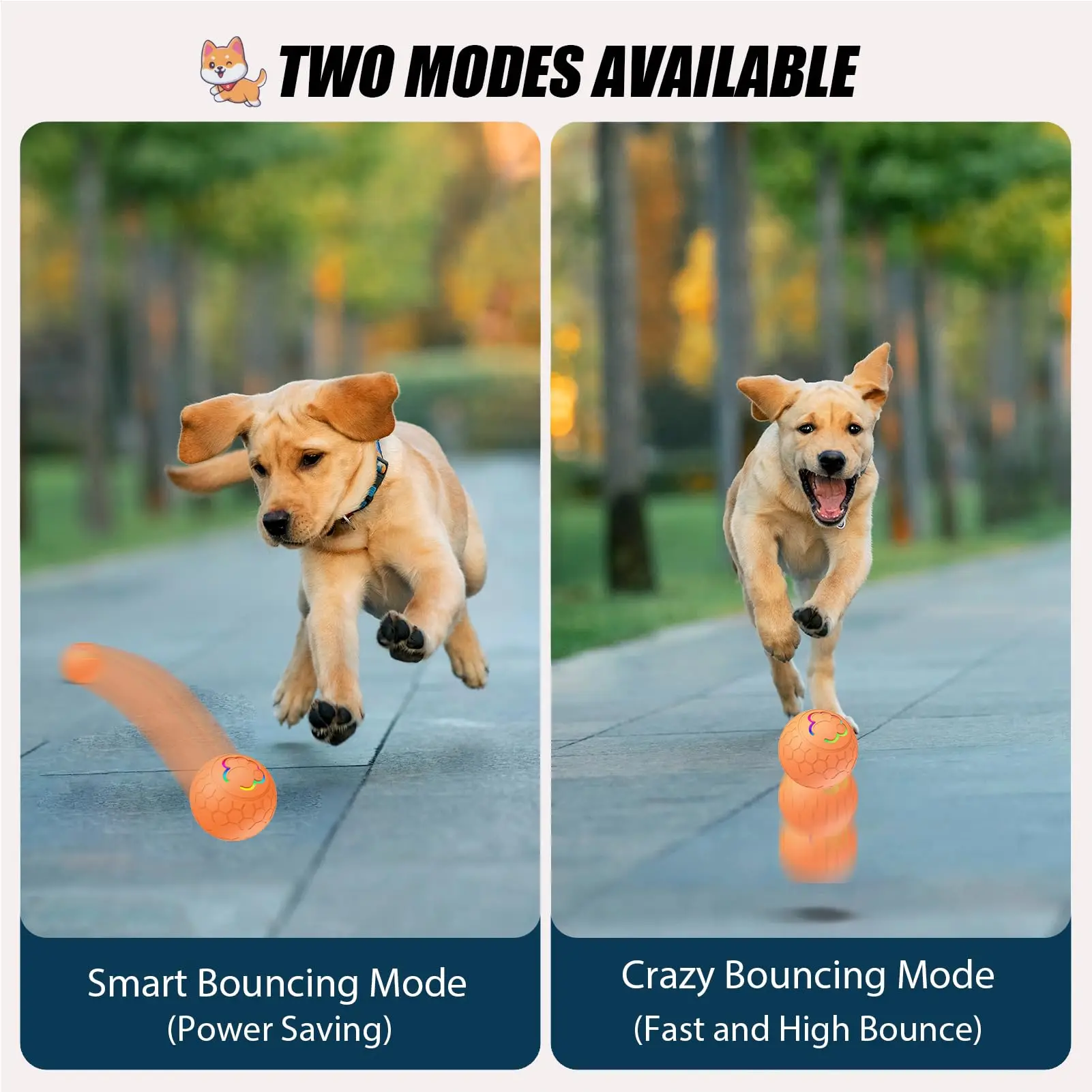 Active Roling Ball for Dogs - 2.2" Sturdy Motion Actived Interactive Dog Ball for Puppy/Small/Medium Dogs, USB Rechargeable Ball image 2