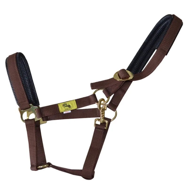 

Harness, bridle, anti-wear bridle