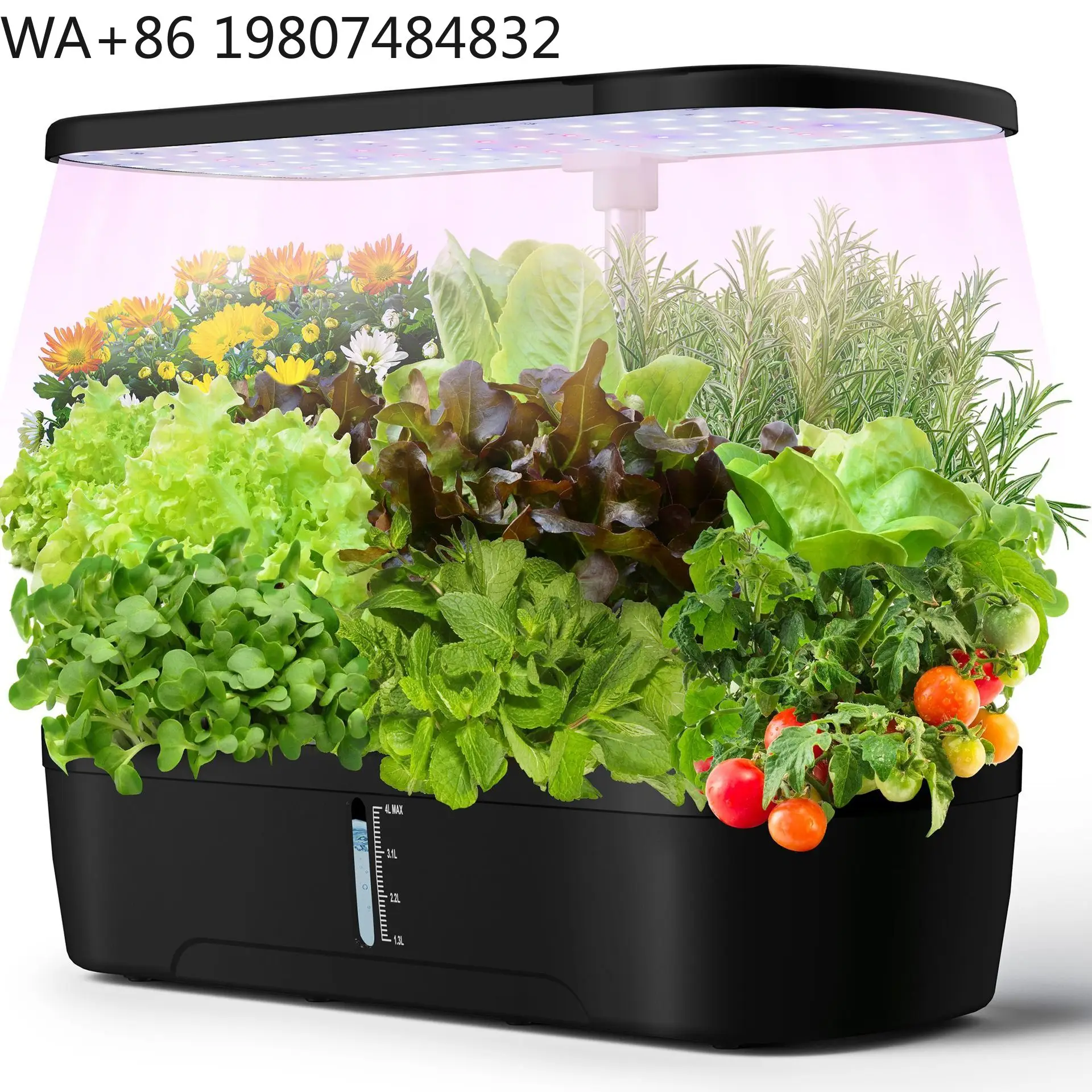 Mini Greenhouse  Vegetable Seed Germination Container Automatic Irrigation Soilless Cultivation Hydroponic Growing Kit For