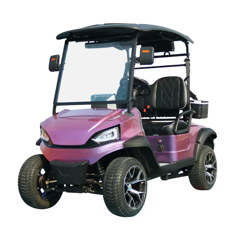 2+2 Seats Electric Lifted Golf Cart Hunting Car with Powerful 5KW AC Motor Controller  Electric Golf Cart