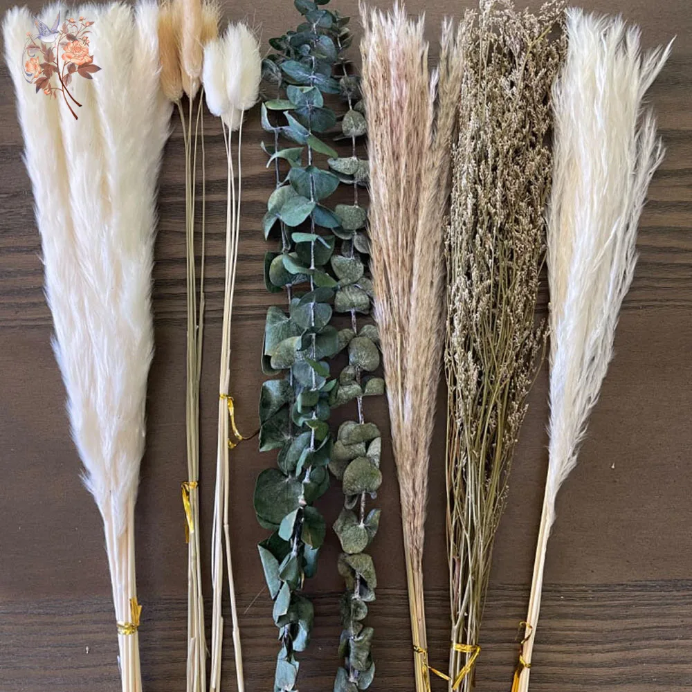 50 قطعة ذيل الأرنب Pampas العشب الأوكالبتوس ديكور باقة الزهور المجففة بوهو الجدول المركزية ديكور جدار ترتيبات الزهور #3