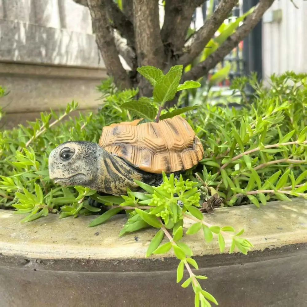 

Прочный креативный мини-горшок для цветов в виде черепахи, имитирующий животное, мультяшный садовый цветочный горшок-черепаха, подарок