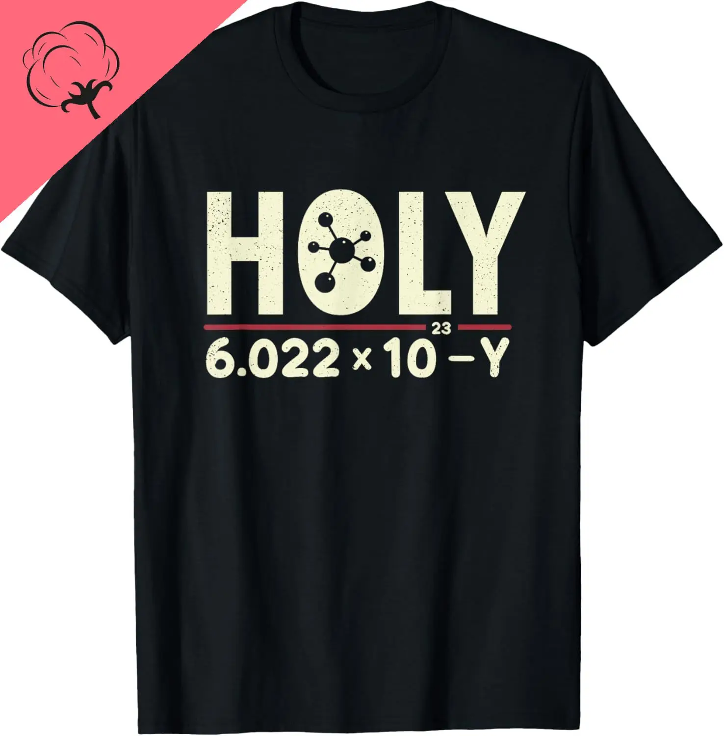 Funny Pun Holy Moly… - image