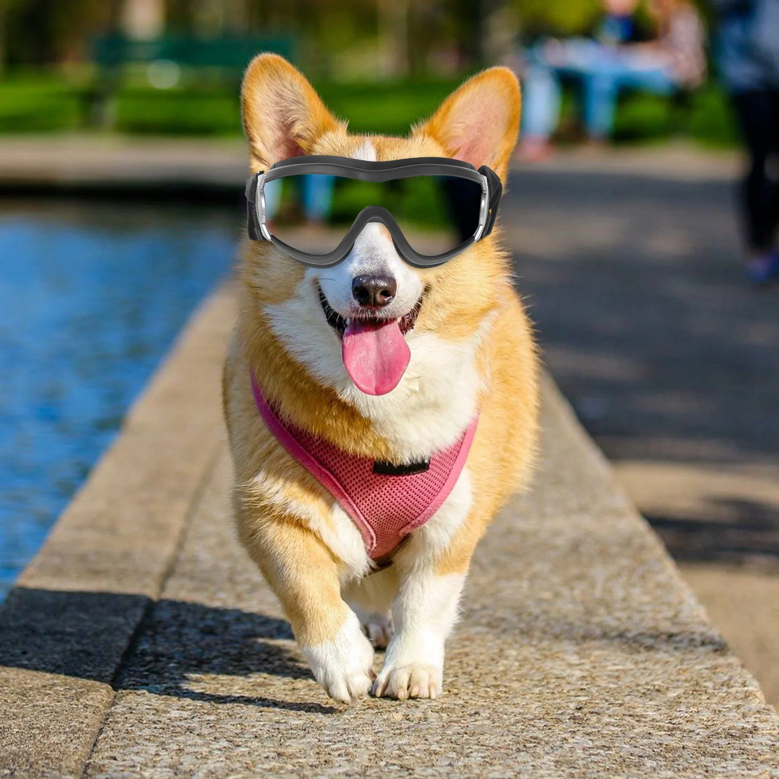 

Dog Goggles Eye Protective Glasses Lightweight Anti-Uv Windproof for Pets Outdoor Activities Black Outdoor Goggles