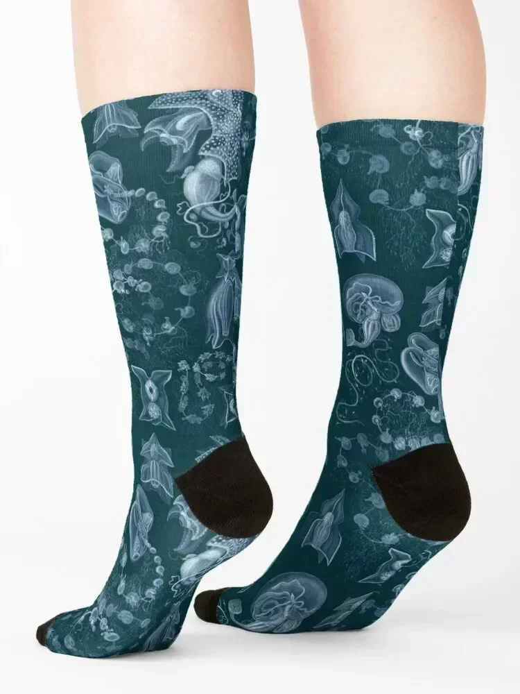 Ernst Haeckel - Siphonophorae Socks Novelties funny sock Stockings fashionable Designer Man Socks Women's