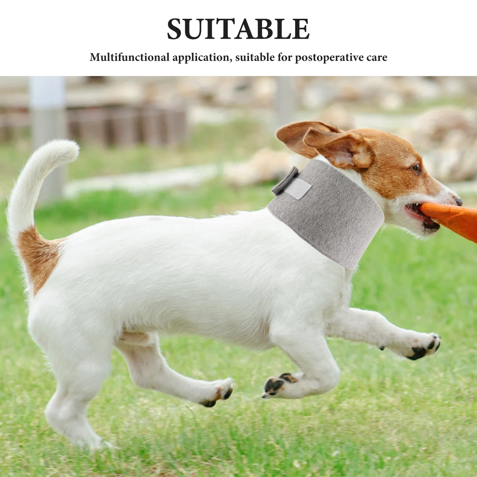 طوق استعادة الحيوانات الأليفة قابل للتعديل، طوق إليزابيث ناعم للكلاب والقطط بعد الجراحة ومضاد لللعق مريح #5