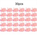 30pcs