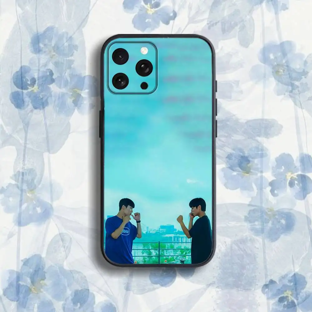 Custodia per telefono serie H-Hero Korea S debole per iPhone 17,16,15,14,13,12,Pro,Max,Plus,E,SE4,Air,Mini scatola morbida nera