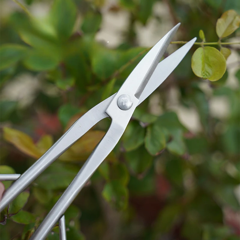 Leaf bud scissors all stainless steel gardening shears shoot twigs bonsai long pole thickened pruning shears