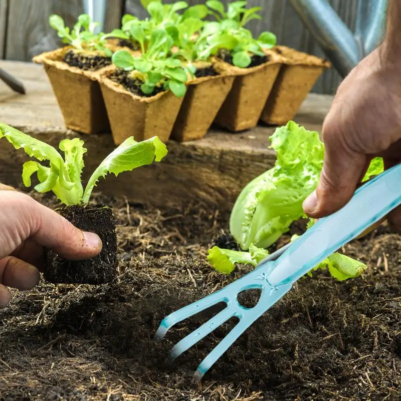 Gardening Tool Set Transplant Seedling Planting Tools Garden Planter Kit Succulent Plants Tools Comfortable Handle Shovel Rake