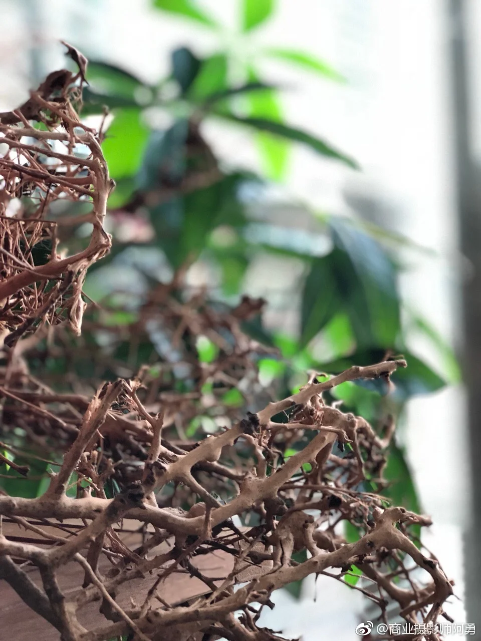 

RC Shock Absorber Front and Back Kit for Trxs 1/16 Mini Slash BL-2S 4x4 Short Course Truck-108164-1 Mini Rally VXL Ford RS200