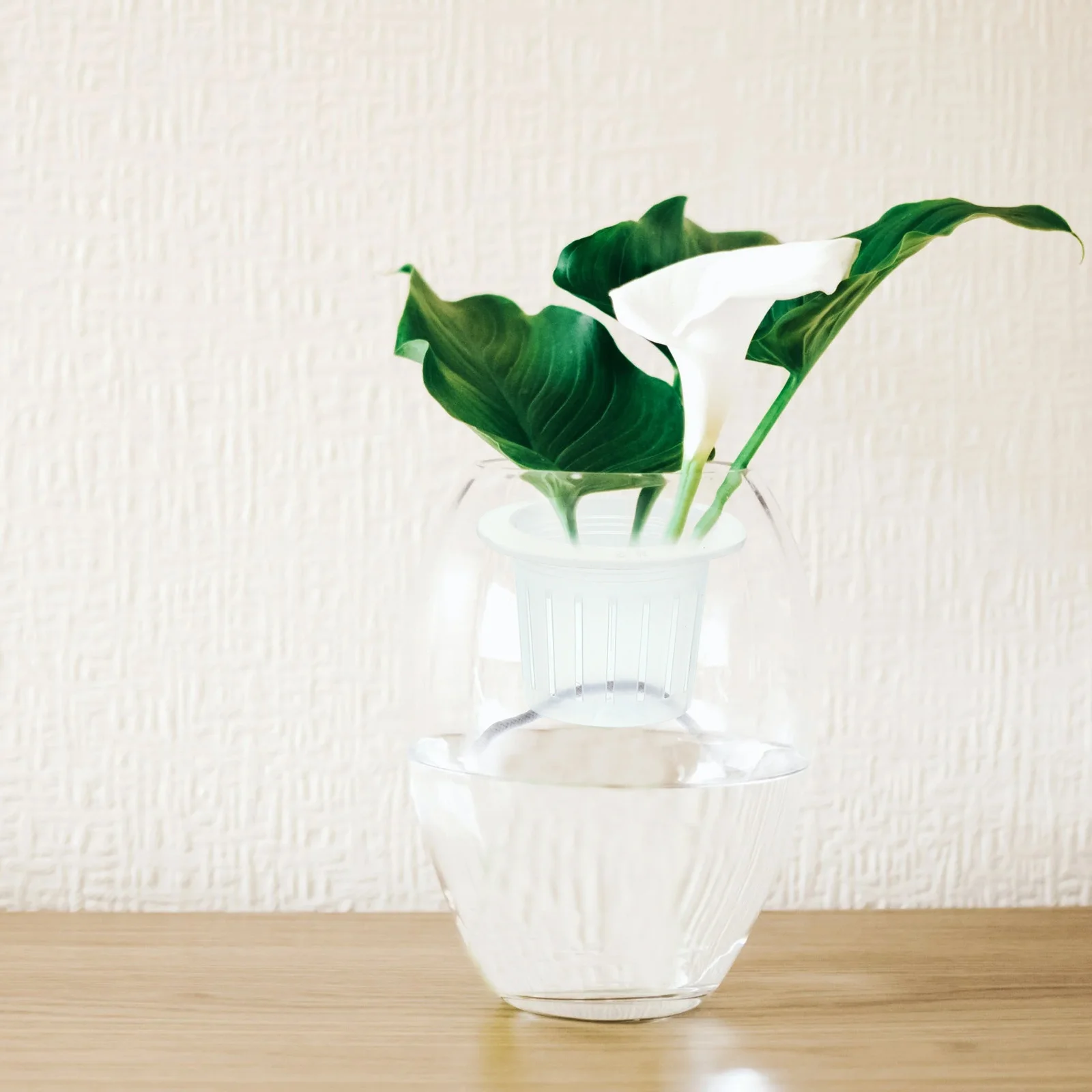 

1Set Soilless Culture Plant Cup Lightweight Plastic Nursery Net Cups for Hydroponic Aquatic Garden Plant Pot Garden Net Cups