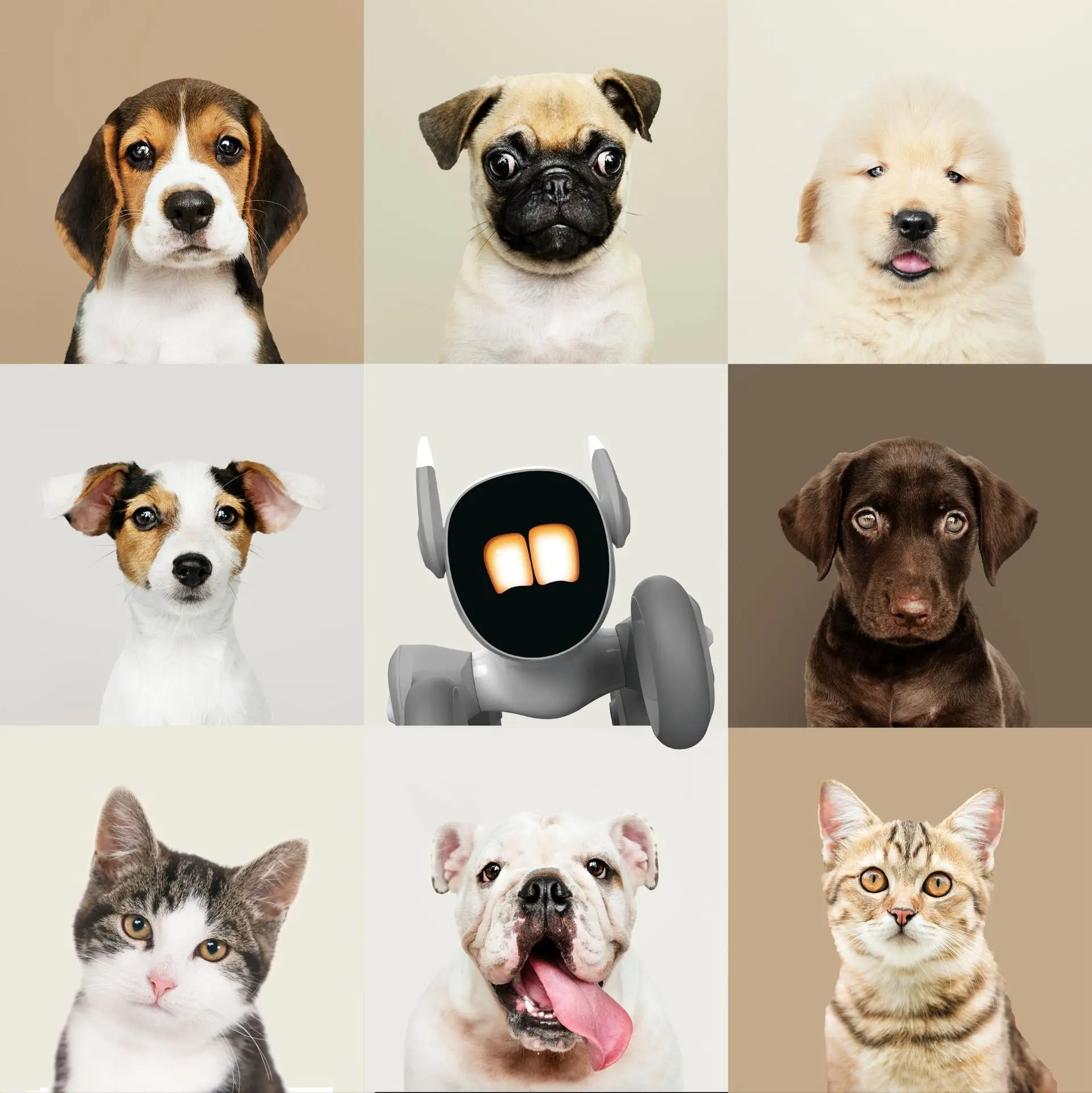 Loona slimme huisdierrobot met GPT Connect Voice Command Family Companion voor groeiverkenning kinderspeelgoed