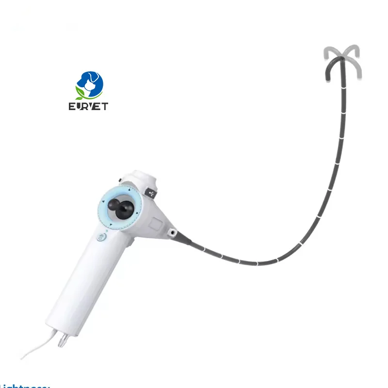 

Портативный гибкий эндоскоп для ветеринарных инструментов, мобильное медицинское оборудование для ветеринаров с животными для больницы с животными