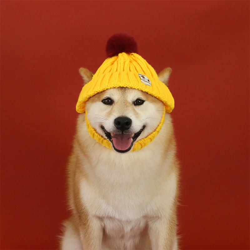 Thumbnail 4 - #38 Pet Winter Clothing Comparison Guide