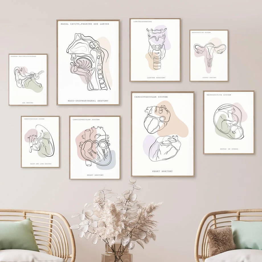 Minimalist Colorful Anatomy Line Medical Poster Prints Wall Art Mural Ear Larynx Heart Canvas Painting Doctor Gift Clinic Dec