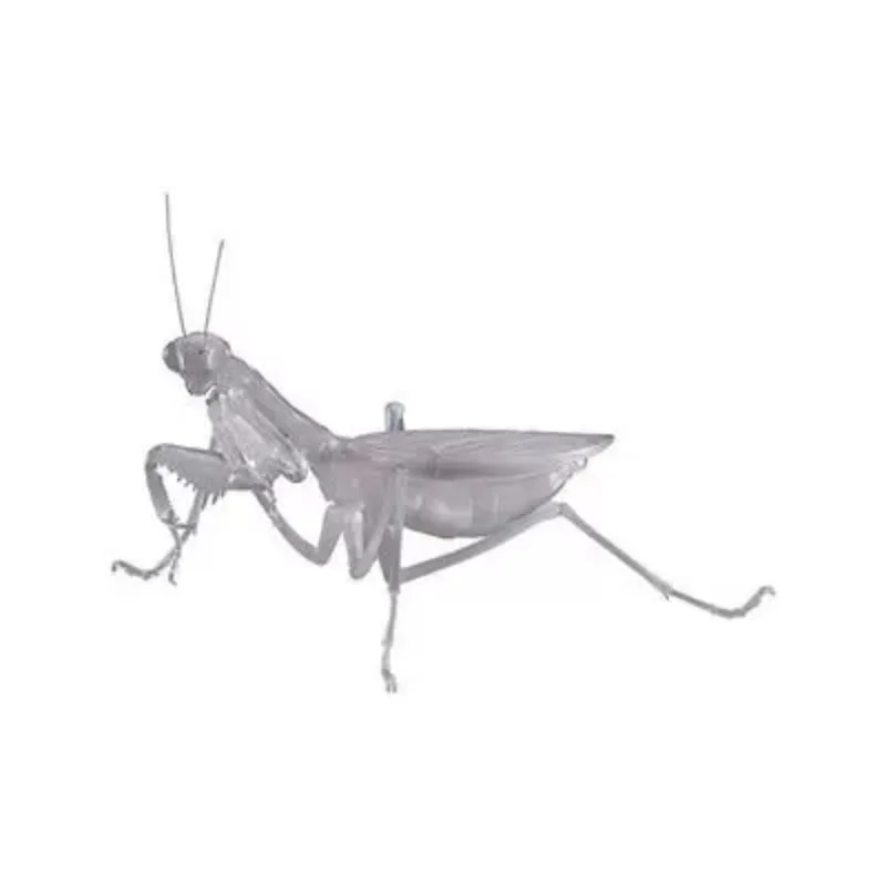 BANDAI Japan Gashapon Figure Anime Cute Biology Map Orchid Mantis Insect Model Kawaii Capsule Toys Figurine Assembly Model